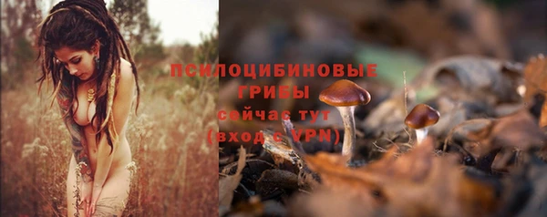 mdpv Абинск