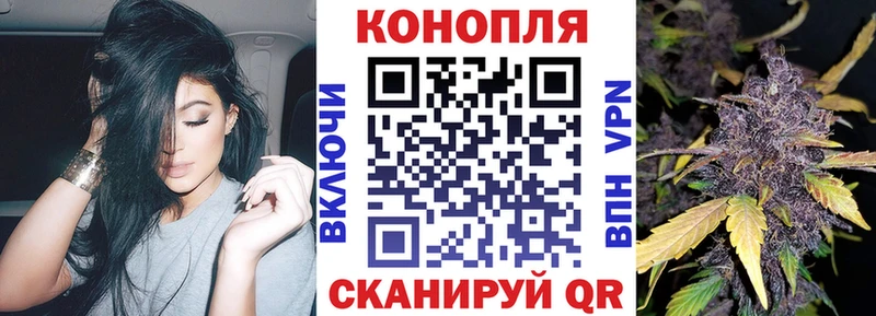 Бошки марихуана гибрид  ссылка на мегу зеркало  Сурск 